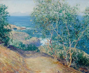 Indian Tobacco Trees, La JollanDeutsch: Indische Tabakbaume, La Jollan